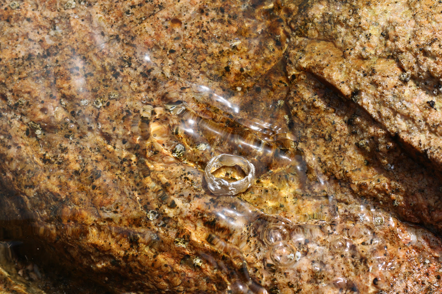 Anillo Tramontana pequeño