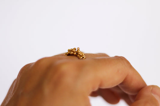 Anillo Pluja sello baño oro