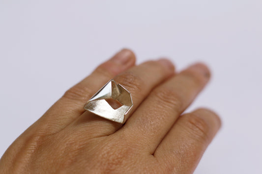 Geometries large ring